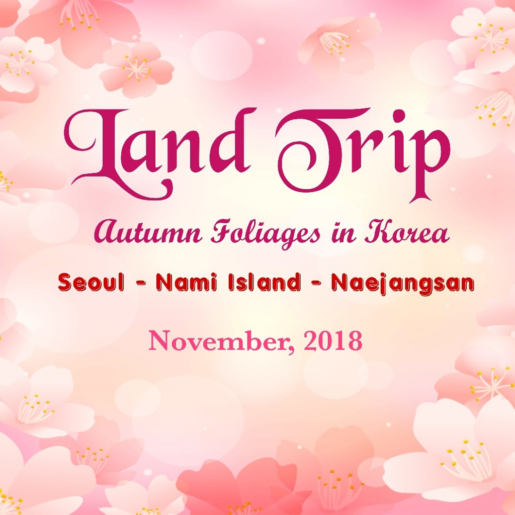 Autumn Trip Korea Selatan 2018
