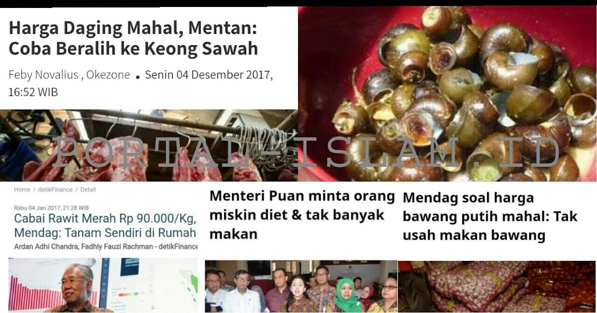 GPMT: Harga Pakan Ayam Naik Akibat Rupiah Melemah