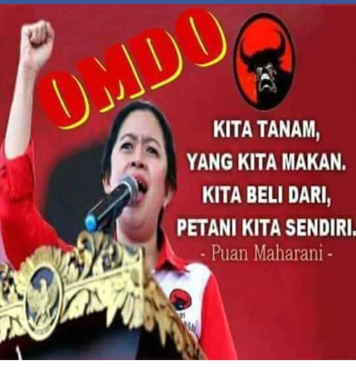 Tepis Politikus PKS, PBHM Nilai Kinerja Pangan Jokowi Spektakuler