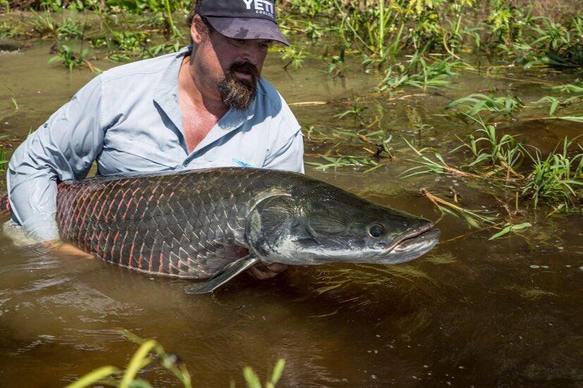 Inilah 6 Ikan Paling Mengerikan di Dunia, Salah Satunya Ada di Indonesia