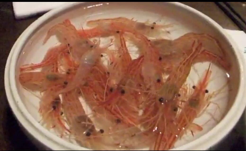 Sadis, 15 Makanan Ini Disajikan dengan Cara Menyiksa Binatang!