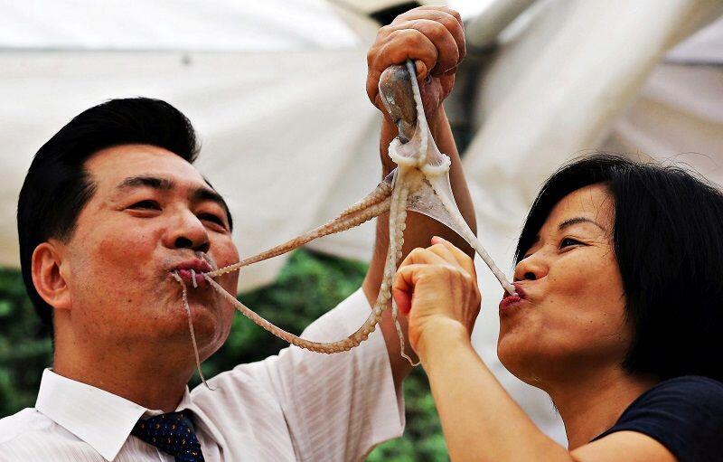 Sadis, 15 Makanan Ini Disajikan dengan Cara Menyiksa Binatang!