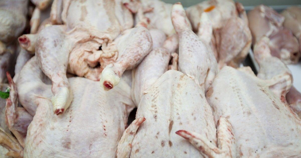 Sadis, 15 Makanan Ini Disajikan dengan Cara Menyiksa Binatang!