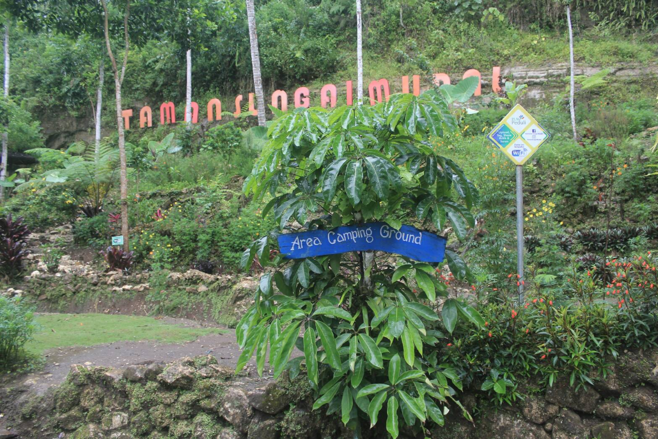 Taman Sungai Mudal Surganya Air Terjun Di Yogyakarta