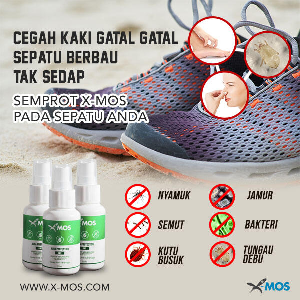 CARA MEMBASMI KECOA DAN SERANGGA DI MOBIL