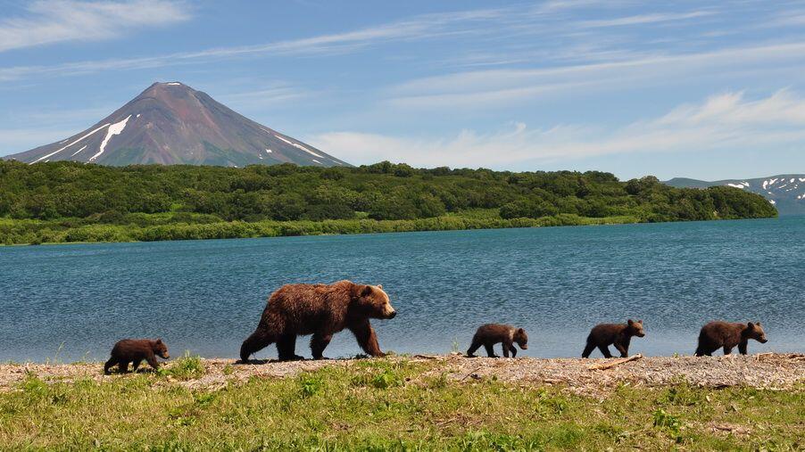 Kamchatka Peninsula, Pesona Alam Rusia yang Bikin Melongo!