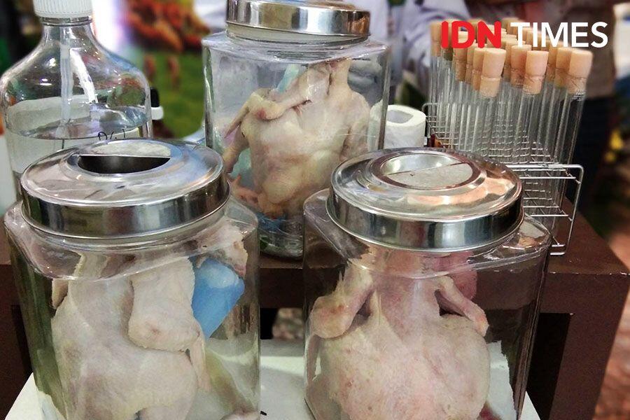 Begini Cara Bedakan Ayam Segar, Suntik, Berformalin dan Tiren