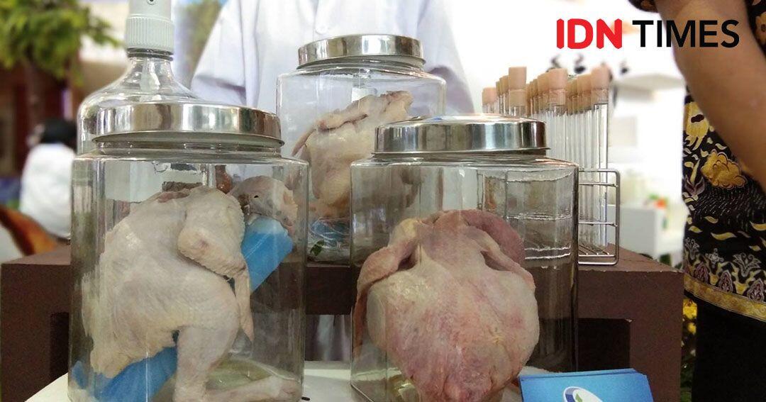 Begini Cara Bedakan Ayam Segar, Suntik, Berformalin dan Tiren
