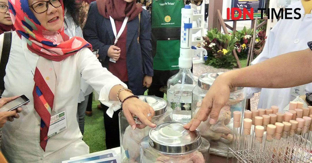 Begini Cara Bedakan Ayam Segar, Suntik, Berformalin dan Tiren