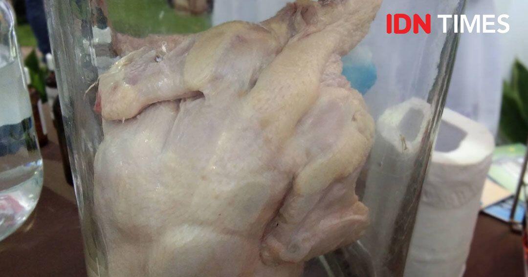 Begini Cara Bedakan Ayam Segar, Suntik, Berformalin dan Tiren