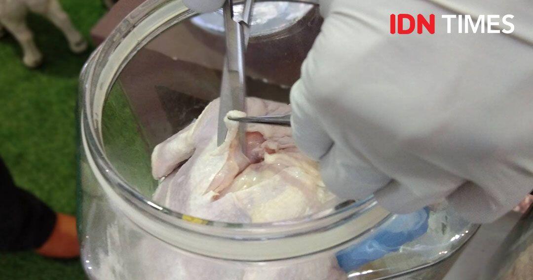 Begini Cara Bedakan Ayam Segar, Suntik, Berformalin dan Tiren