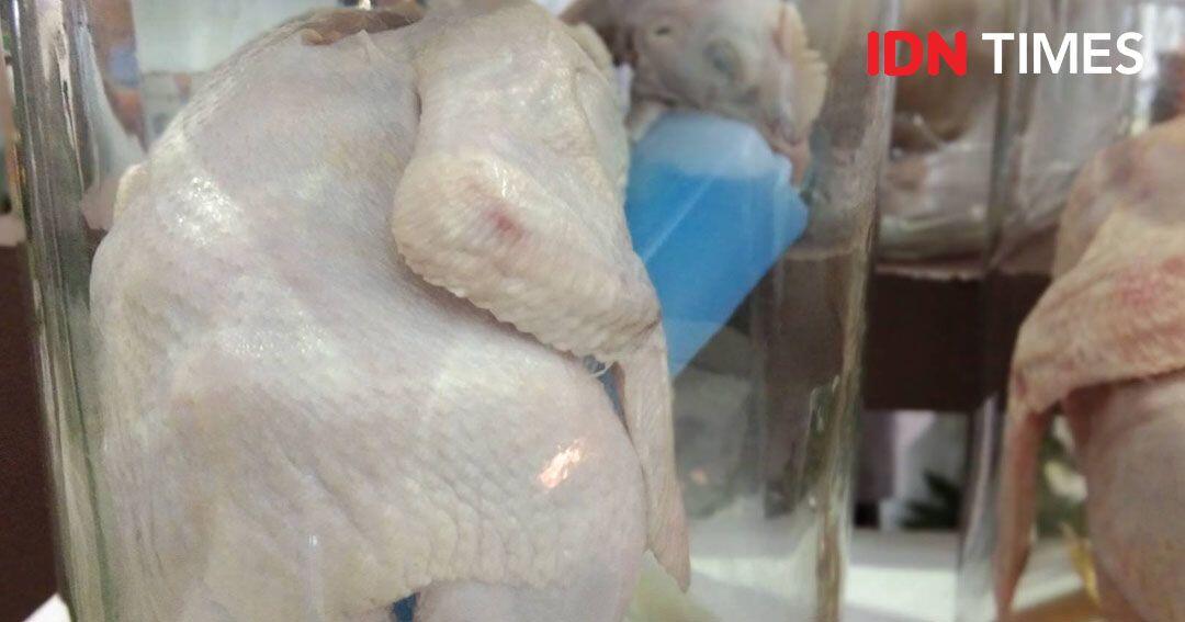 Begini Cara Bedakan Ayam Segar, Suntik, Berformalin dan Tiren