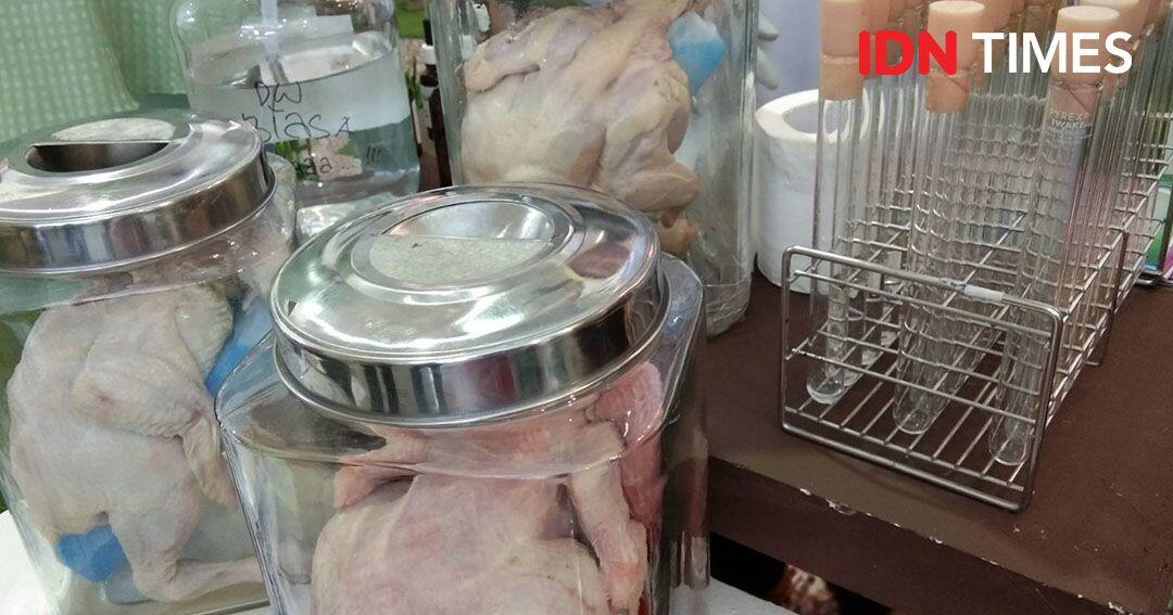 Begini Cara Bedakan Ayam Segar, Suntik, Berformalin dan Tiren