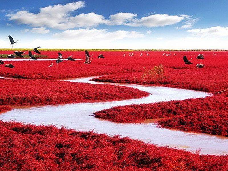 15 Tempat Ini Buktikan Bumi Jadi Planet Paling Keren, Cantik Banget!