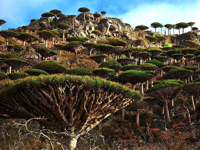 15 Tempat Ini Buktikan Bumi Jadi Planet Paling Keren, Cantik Banget!