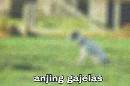 Tata Cara Memasak Indomie
