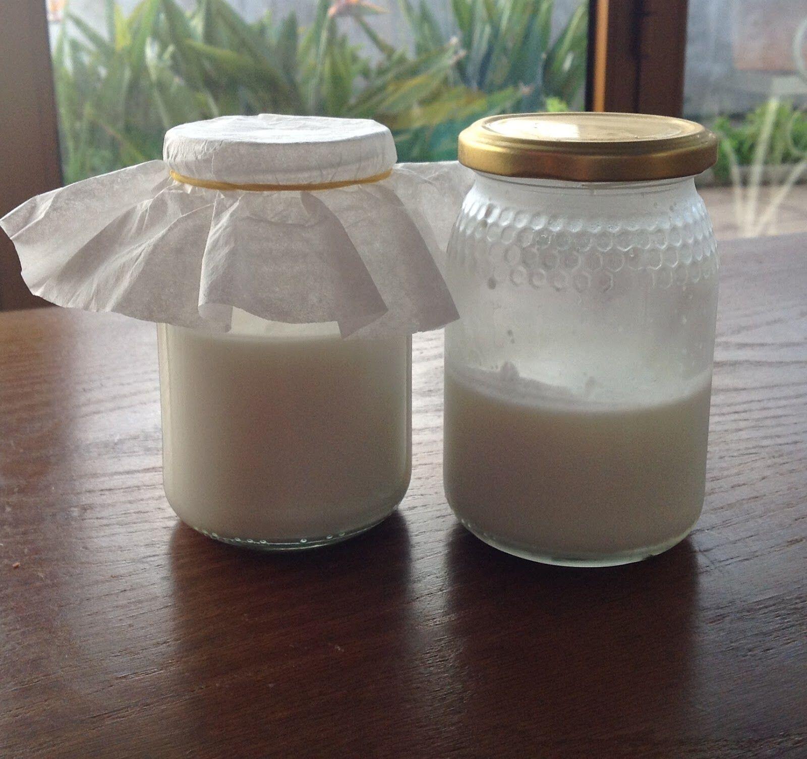 Resep Kefir, Minuman Sehat Khas Orang Rusia. Yuk Bikin Sendiri!