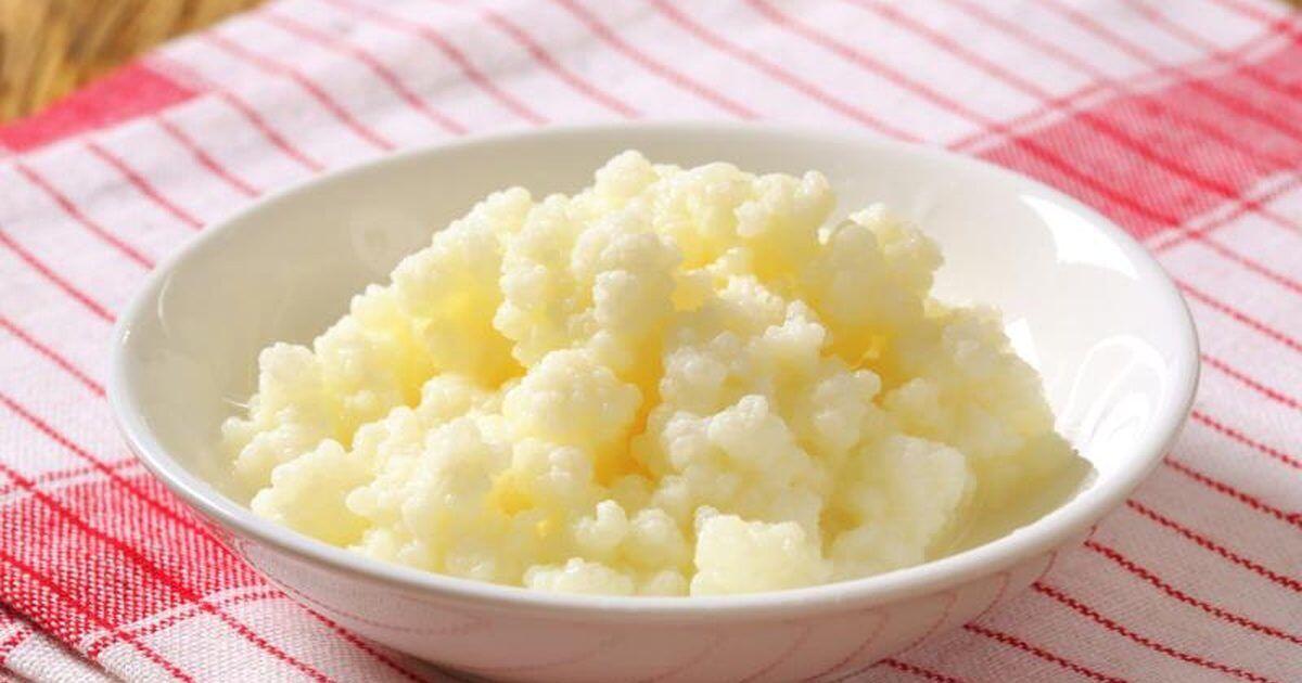 Resep Kefir, Minuman Sehat Khas Orang Rusia. Yuk Bikin Sendiri!