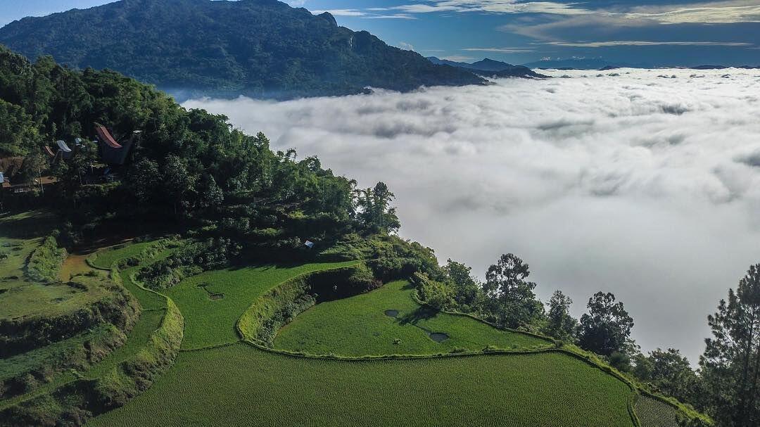 8 Potret Menakjubkan Kampung Lolai, Negeri di Atas Awan Milik Toraja