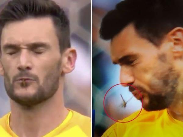 Ini Lho Serangga yang Hampir Ditelan Hugo Lloris Saat Melawan Uruguay