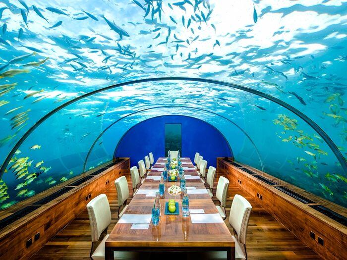 5 Hotel Mewah Bawah Laut yang Super Keren, Yakin Gak Mau Menginap?