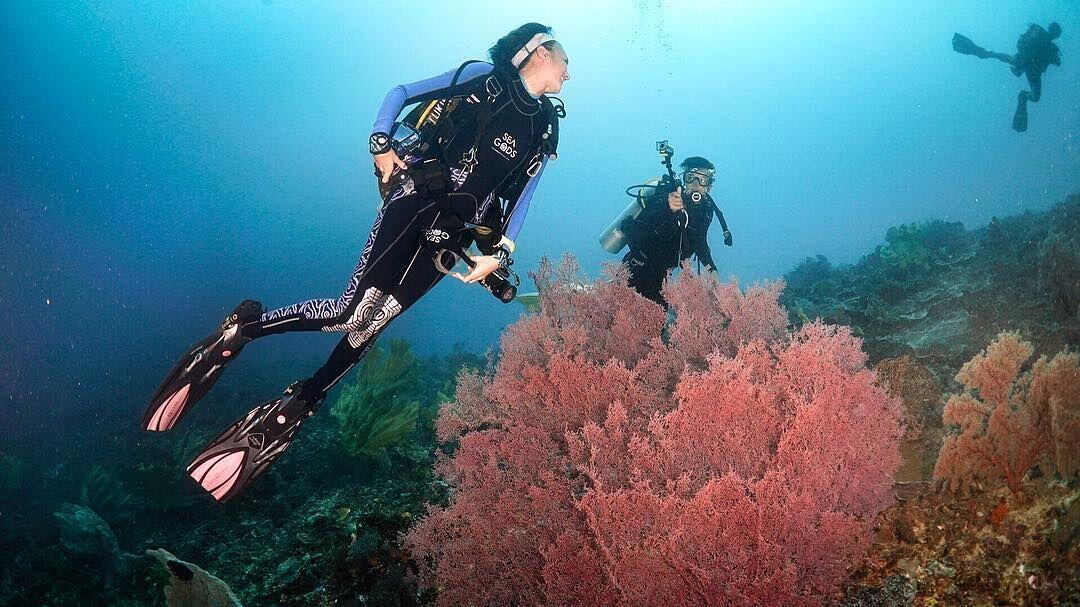 10 Spot Terbaik Raja Ampat, Liburan Romantis ala Nadine-Dimas Anggara