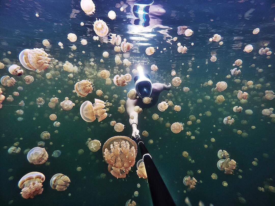 10 Spot Terbaik Raja Ampat, Liburan Romantis ala Nadine-Dimas Anggara