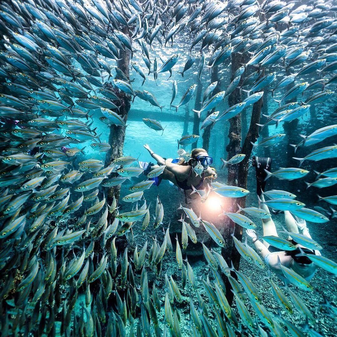 10 Spot Terbaik Raja Ampat, Liburan Romantis ala Nadine-Dimas Anggara