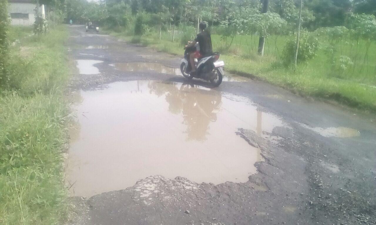 Di Balik Jalan Berlubang