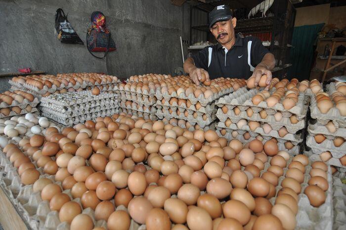 Penyebab melambungnya harga telur usai Lebaran