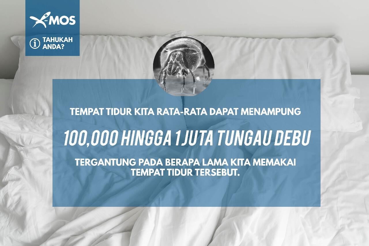 BAHAYANYA KUTU KASUR UNTUK KESEHATAN