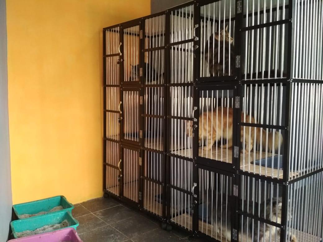 RUMAH KUCING KEDUA KAMU