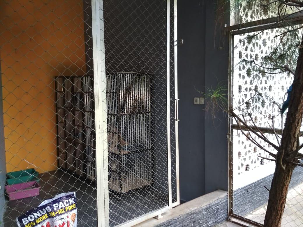 RUMAH KUCING KEDUA KAMU