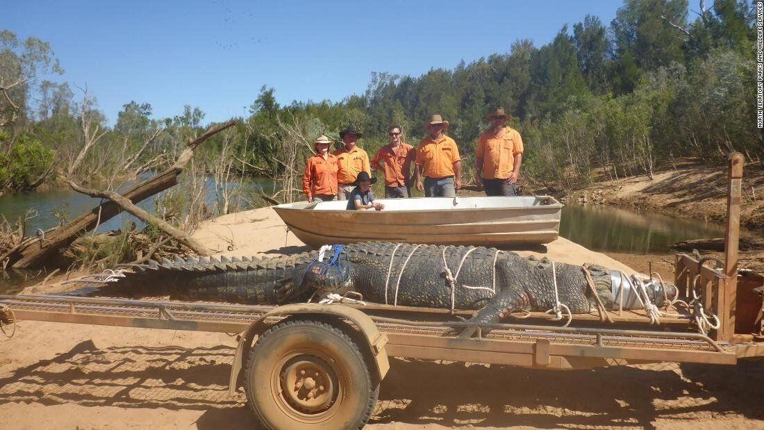 8 Tahun Diburu, Buaya Monster Australia Ini Berhasil Ditangkap