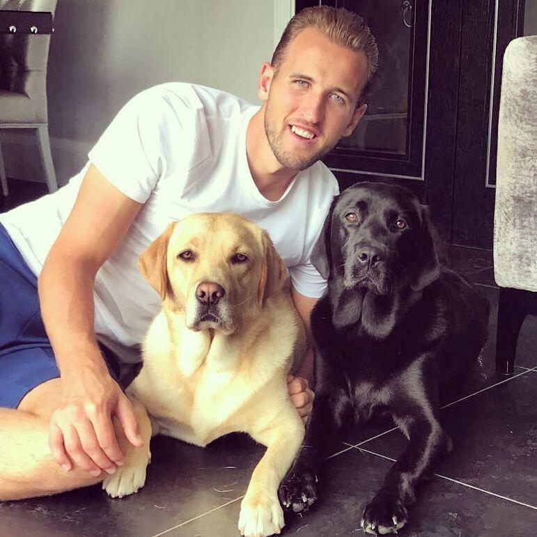 10 Style Harry Kane, Kapten Timnas Inggris yang Jadi Sorotan