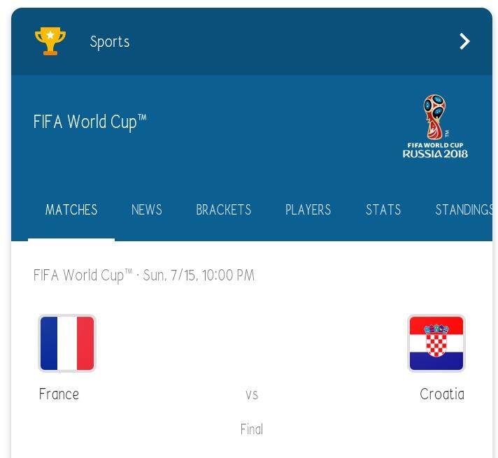 Penasaran siapa juara Piala Dunia 2018, baca dulu biar tau