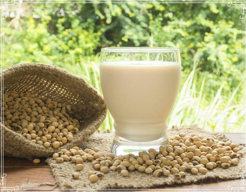 Susu Kedelai. Mamfaat dan Cara Membuat.