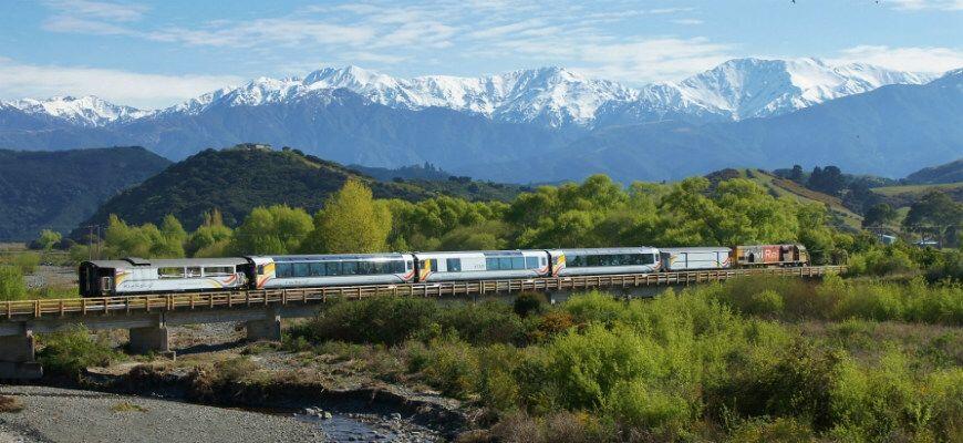 5 Cara Terbaik untuk Berkeliling New Zealand, Dijamin Gak Bakal Nyasar
