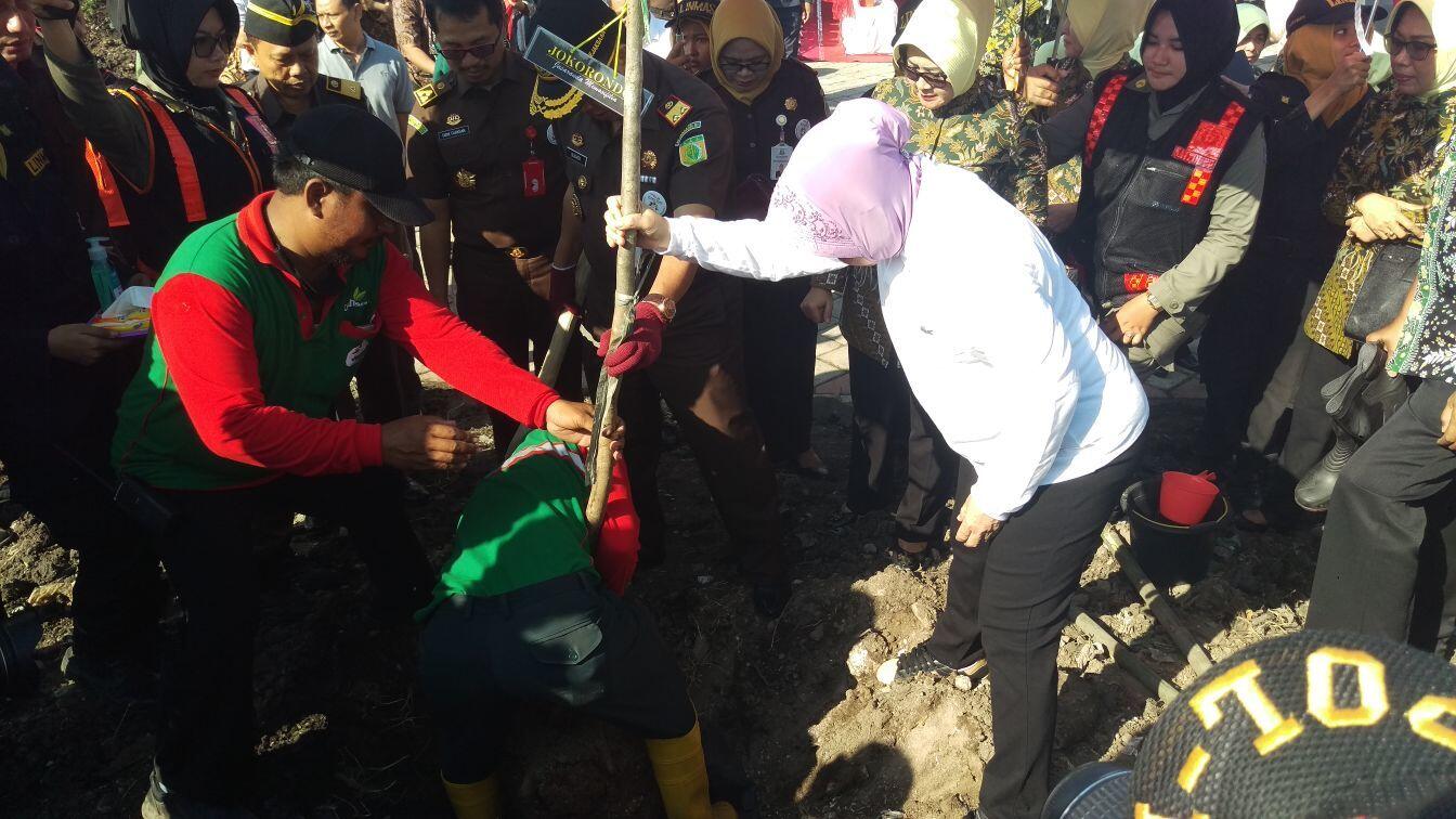 Risma Sulap TPA Menjadi Taman Bunga Kelas Dunia