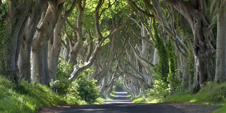 Bakal Ada Prequel Game of Thrones, Ini 5 Fakta Menariknya!