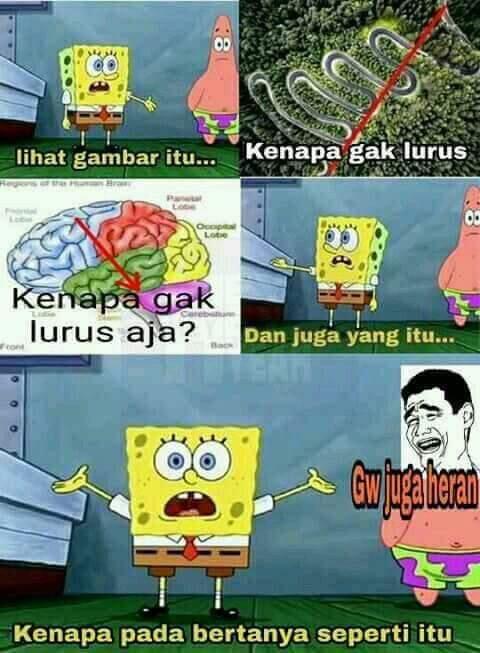 Meme Politik
