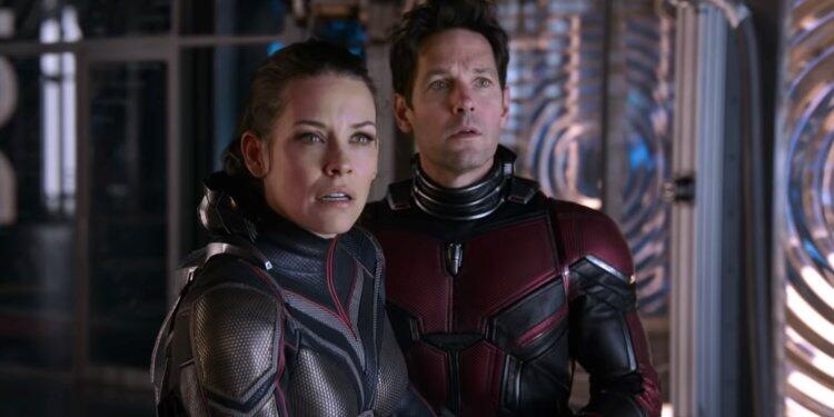 Alasan Tidak Ada Cameo Avengers Dalam Ant-Man and the Wasp