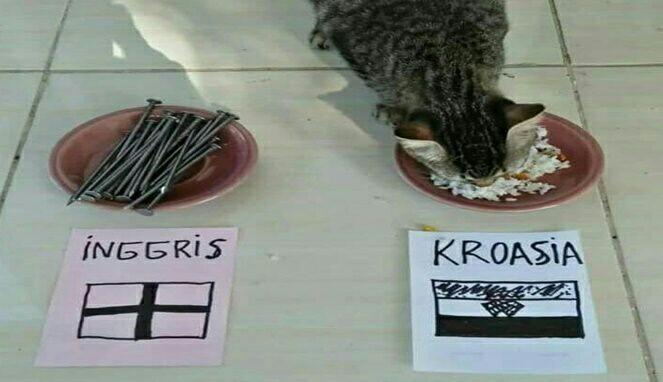 Saat Kucing dan Ayam Jadi Pemrediksi Piala Dunia, Hasilnya Bikin Ngakak