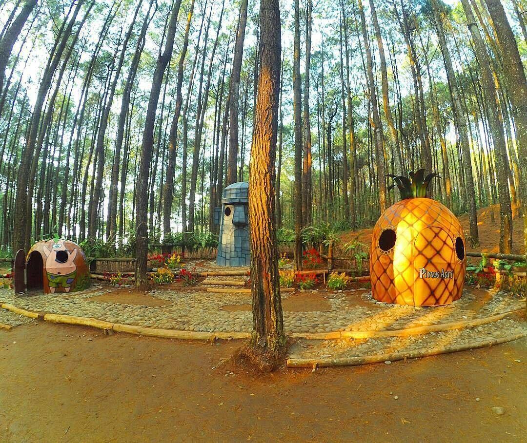 7 Tempat Wisata Unik di Yogyakarta, Yakin Sudah Pernah ke Sini?