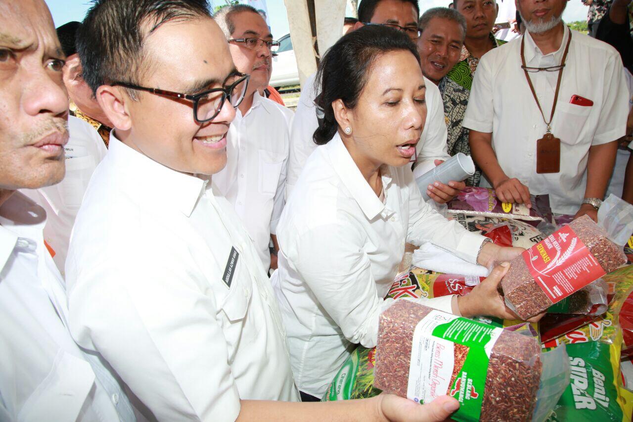 Distributor Beras Organik Banyuwangi (Sirtanio)
