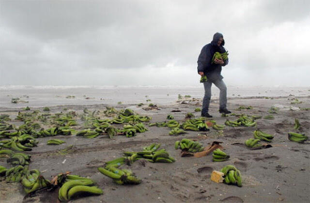 Bikin Bingung Penemunya, 7 Benda Aneh Ini Pernah Terdampar di Pantai!