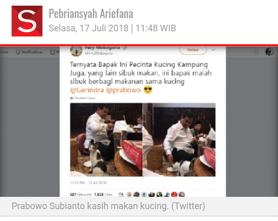 Heboh Foto Viral Prabowo Kasih Makan Kucing