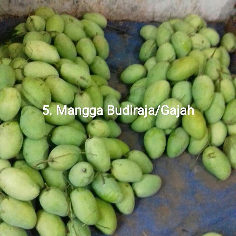 Supplier Buah-buahan