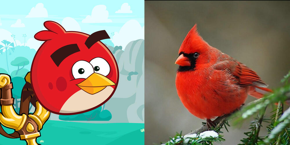 Ini Penampakan Asli Karakter Kartun Hewan Di TV Gan!