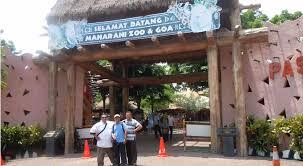 Wisata di kota Lamongan, Pantai kutang destinasi wisata bernama UNIK !